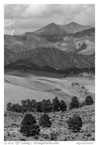 Sangre de Cristo mountains with aspen in fall foliage above dunes. Great Sand Dunes National Park, Colorado, USA.