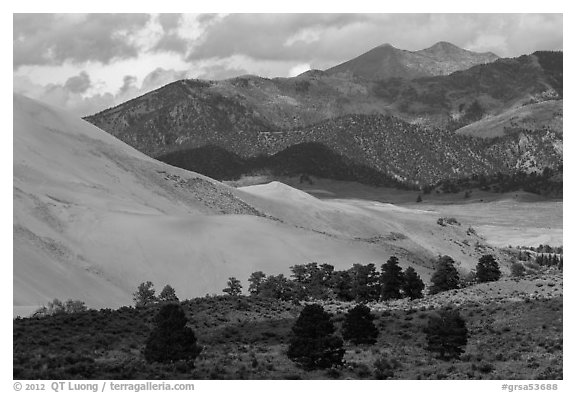 Sangre de Cristo range with bright patches of aspen above dunes. Great Sand Dunes National Park, Colorado, USA.