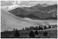 Sangre de Cristo range with bright patches of aspen above dunes. Great Sand Dunes National Park, Colorado, USA. (black and white)