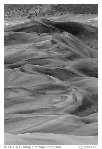 Dune field at dusk. Great Sand Dunes National Park, Colorado, USA.