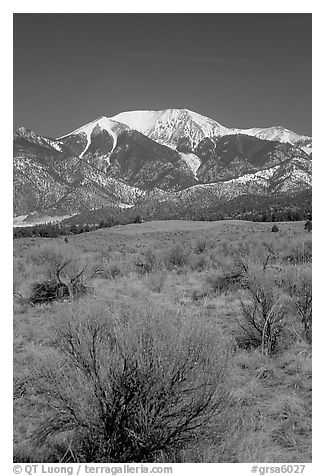 Desert-like sagebrush and snowy Sangre de Cristo Mountains. Great Sand Dunes National Park, Colorado, USA.