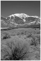 Desert-like sagebrush and snowy Sangre de Cristo Mountains. Great Sand Dunes National Park, Colorado, USA. (black and white)