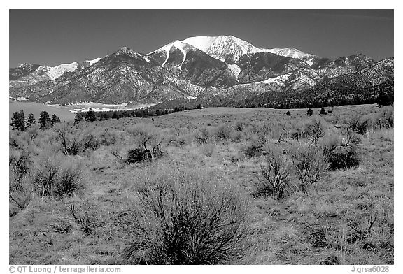 Desert-like sagebrush and snowy Sangre de Cristo Mountains. Great Sand Dunes National Park, Colorado, USA.