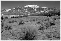 Desert-like sagebrush and snowy Sangre de Cristo Mountains. Great Sand Dunes National Park, Colorado, USA. (black and white)