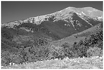 Sangre de Cristo Mountains near Medano Pass in summer. Great Sand Dunes National Park and Preserve ( black and white)