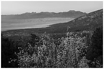 Autum Color and distant dunefield. Great Sand Dunes National Park and Preserve ( black and white)