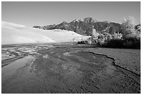 Medano Creek flowing, dunes, and trees in autumn foliage. Great Sand Dunes National Park and Preserve ( black and white)