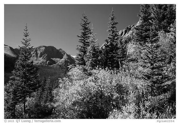 Autum foliage and Music Mountain. Great Sand Dunes National Park and Preserve (black and white)