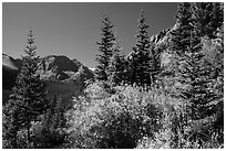 Autum foliage and Music Mountain. Great Sand Dunes National Park and Preserve ( black and white)