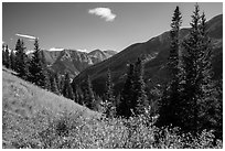 Sand Creek Valley. Great Sand Dunes National Park and Preserve ( black and white)