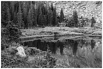 Lakeshore in autumn with shurbs and fir trees, Lower Sand Creek Lake. Great Sand Dunes National Park and Preserve ( black and white)