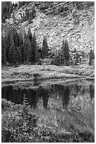 Autumn colors around Lower Sand Creek Lake. Great Sand Dunes National Park and Preserve ( black and white)