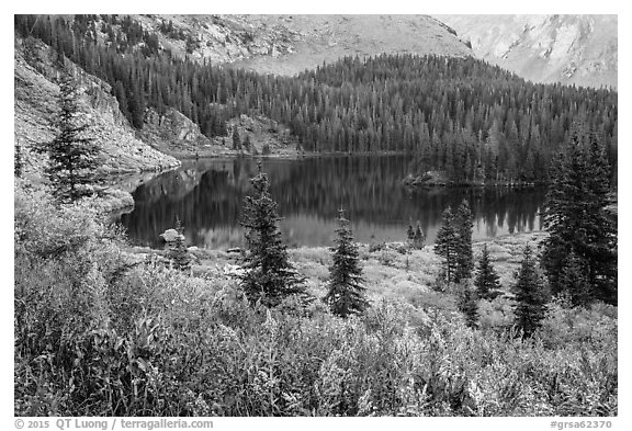 Autumn vegetation and alpine lake, Lower Sand Creek Lake. Great Sand Dunes National Park and Preserve (black and white)