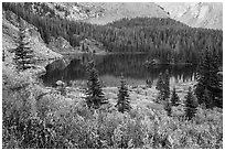 Autumn vegetation and alpine lake, Lower Sand Creek Lake. Great Sand Dunes National Park and Preserve ( black and white)