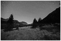 Sand Creek Valley at night. Great Sand Dunes National Park and Preserve ( black and white)