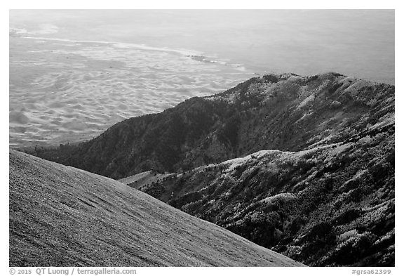 Autumn forests and dunes from above. Great Sand Dunes National Park and Preserve (black and white)