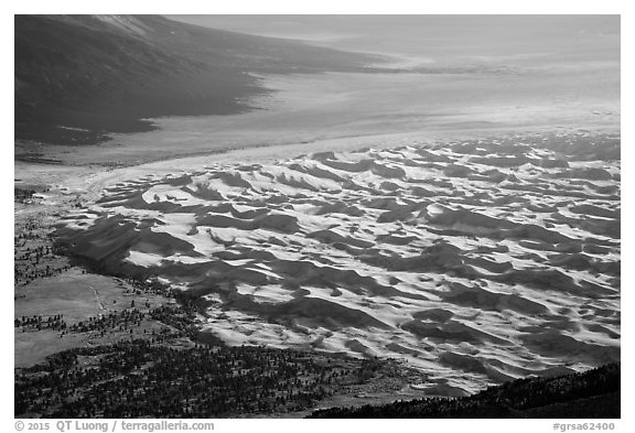 Dune field from above. Great Sand Dunes National Park and Preserve (black and white)