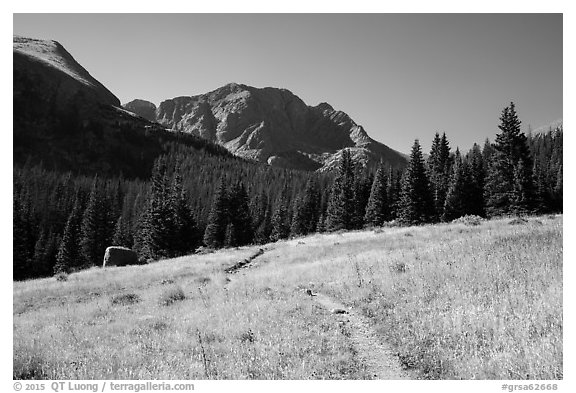 Trail, Sangre de Cristo Wilderness. Great Sand Dunes National Park and Preserve (black and white)