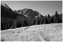 Trail, Sangre de Cristo Wilderness. Great Sand Dunes National Park and Preserve ( black and white)