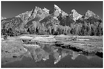 Grand Teton and fall colors reflected at Schwabacher landing. Grand Teton National Park ( black and white)