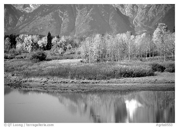 Autumn colors and reflexions of Mt Moran in Oxbow bend. Grand Teton National Park, Wyoming, USA.