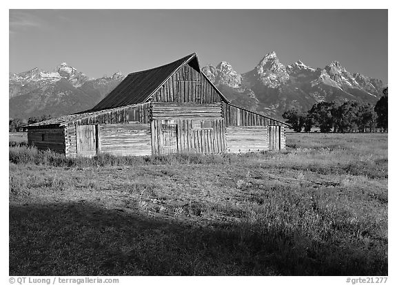 Moulton Barn and Teton range, morning. Grand Teton National Park (black and white)