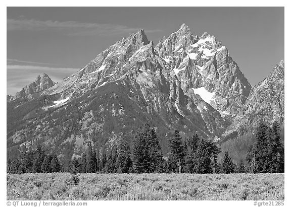 Cathedral group, morning. Grand Teton National Park (black and white)