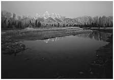 Teton range reflected in water at Schwabacher Landing, sunrise. Grand Teton National Park, Wyoming, USA. (black and white)