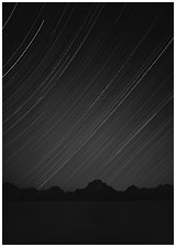 Star trails and Teton range. Grand Teton National Park, Wyoming, USA. (black and white)