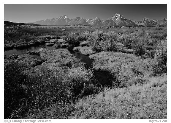 Wetlands and Teton range in autumn. Grand Teton National Park (black and white)