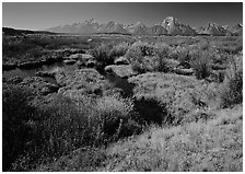 Wetlands and Teton range in autumn. Grand Teton National Park ( black and white)