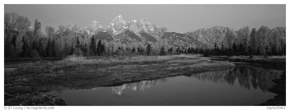 Jagged mountains and autumn colors reflected at sunrise. Grand Teton National Park (black and white)