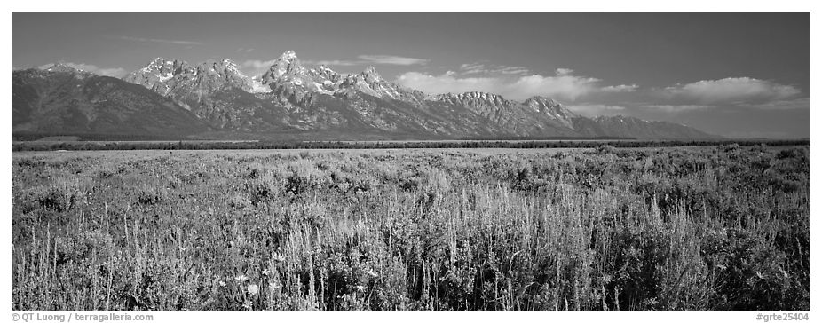 Sagebrush-covered flat and mountain range. Grand Teton National Park (black and white)