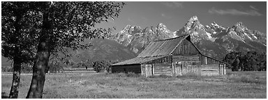 Rustic barn and Grand Teton range. Grand Teton National Park (Panoramic black and white)