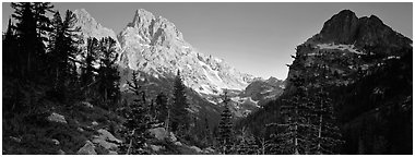 Grand Teton at sunset. Grand Teton National Park (Panoramic black and white)