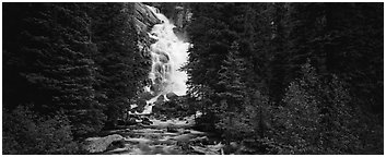 Waterfall flowing in dark forest. Grand Teton National Park (Panoramic black and white)