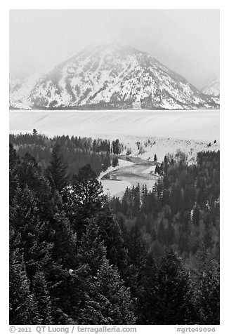 Trees with dusting of snow and Snake River. Grand Teton National Park, Wyoming, USA.