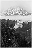 Trees with dusting of snow and Snake River. Grand Teton National Park, Wyoming, USA. (black and white)