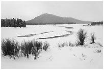 Oxbow Bend in winter. Grand Teton National Park ( black and white)