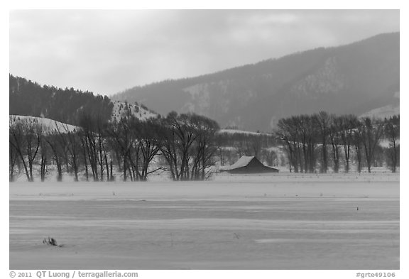 Moulton Homestead in the distance, winter. Grand Teton National Park (black and white)