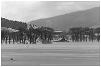 Moulton Homestead in the distance, winter. Grand Teton National Park, Wyoming, USA. (black and white)
