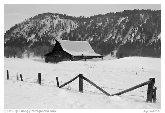 Fence and historic Moulton Barn in winter. Grand Teton National Park, Wyoming, USA.