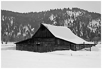 Thomas Alma and Lucille Moulton Homestead, winter. Grand Teton National Park, Wyoming, USA. (black and white)