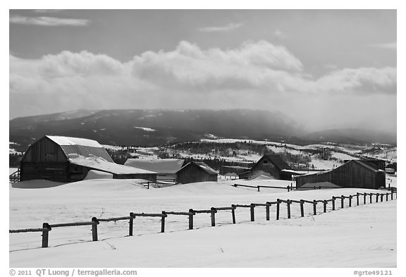 Chambers and Perry homesteads in winter, Mormon Row. Grand Teton National Park (black and white)