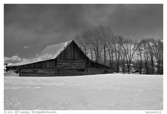 Wooden barn and cottonwoods in winter. Grand Teton National Park, Wyoming, USA.