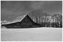 Wooden barn and cottonwoods in winter. Grand Teton National Park ( black and white)