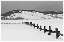 Fence, snowdrift and Ulh Hill. Grand Teton National Park, Wyoming, USA. (black and white)