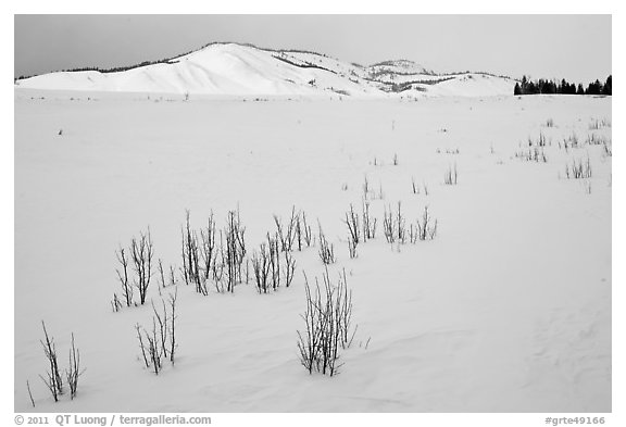 Gross Ventre valley and Blacktail Butte in winter. Grand Teton National Park (black and white)