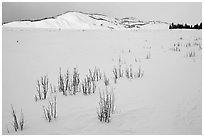 Gross Ventre valley and Blacktail Butte in winter. Grand Teton National Park, Wyoming, USA. (black and white)