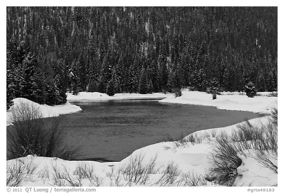Snake River and forest covered hill in winter. Grand Teton National Park (black and white)